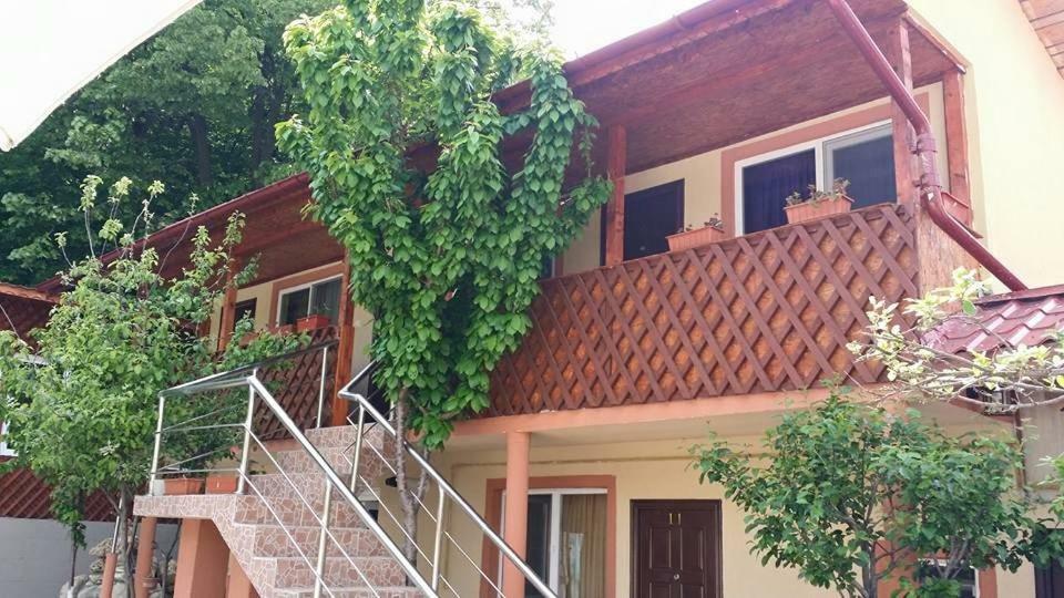 Pensiunea Casa Monteoru Sărata-Monteoru Exterior foto